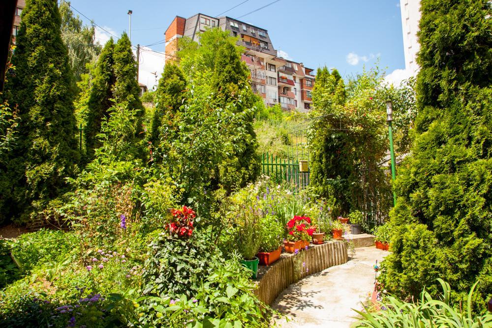 Lavender House Apartment Sarajevo Room photo